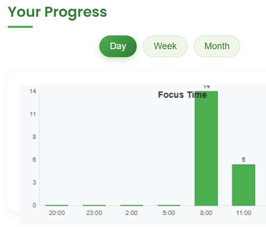  forest focus statistics